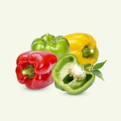 Capsicum