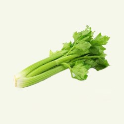 Celery