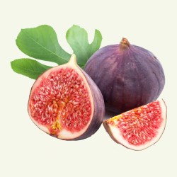 Fig
