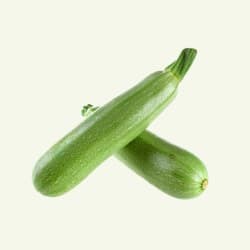 Bottle Gourd